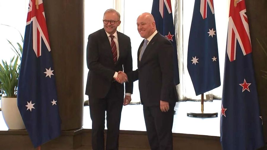 Flying the Flag for Aotearoa: DisplayMate Chosen as NZ’s Premium Diplomatic Flag Provider