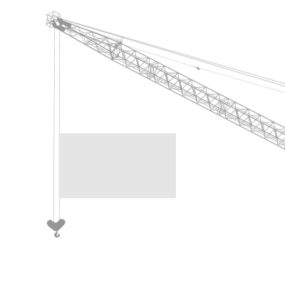 Crane Flags