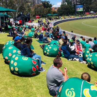 Bean Bag Covers