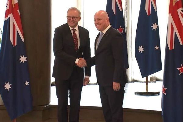 Flying the Flag for Aotearoa: DisplayMate Chosen as NZ’s Premium Diplomatic Flag Provider